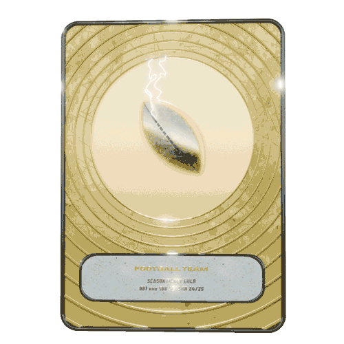 NFT Standard Record